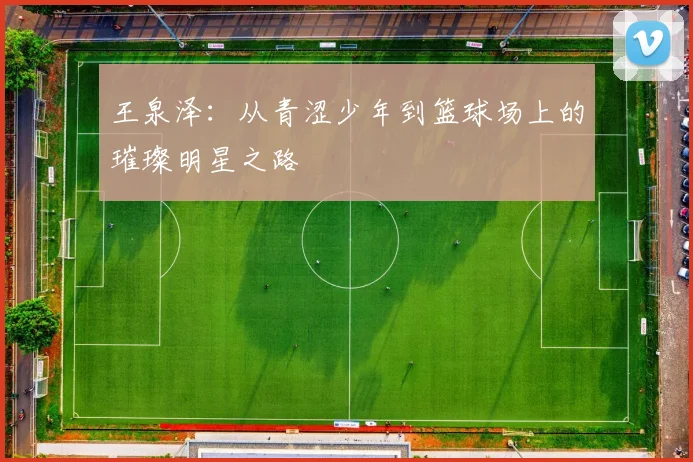 王泉泽：从青涩少年到篮球场上的璀璨明星之路