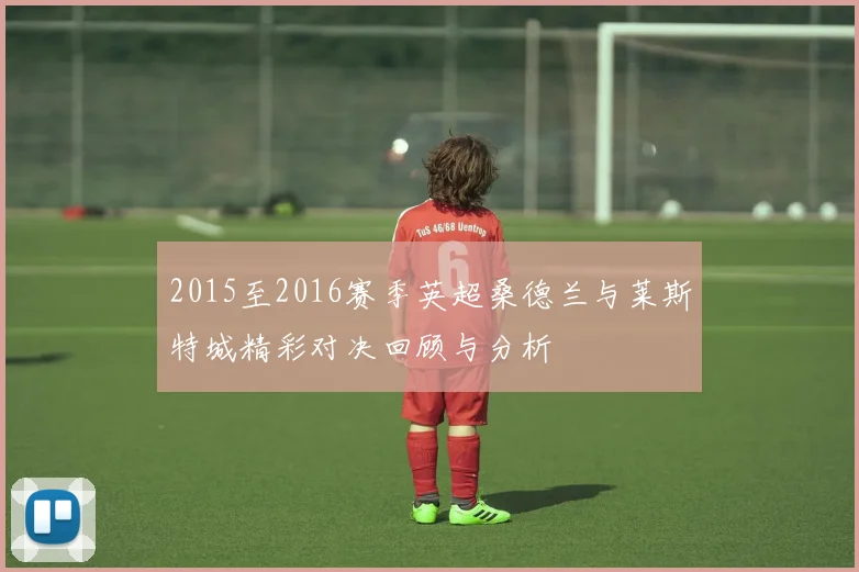 2015至2016赛季英超桑德兰与莱斯特城精彩对决回顾与分析