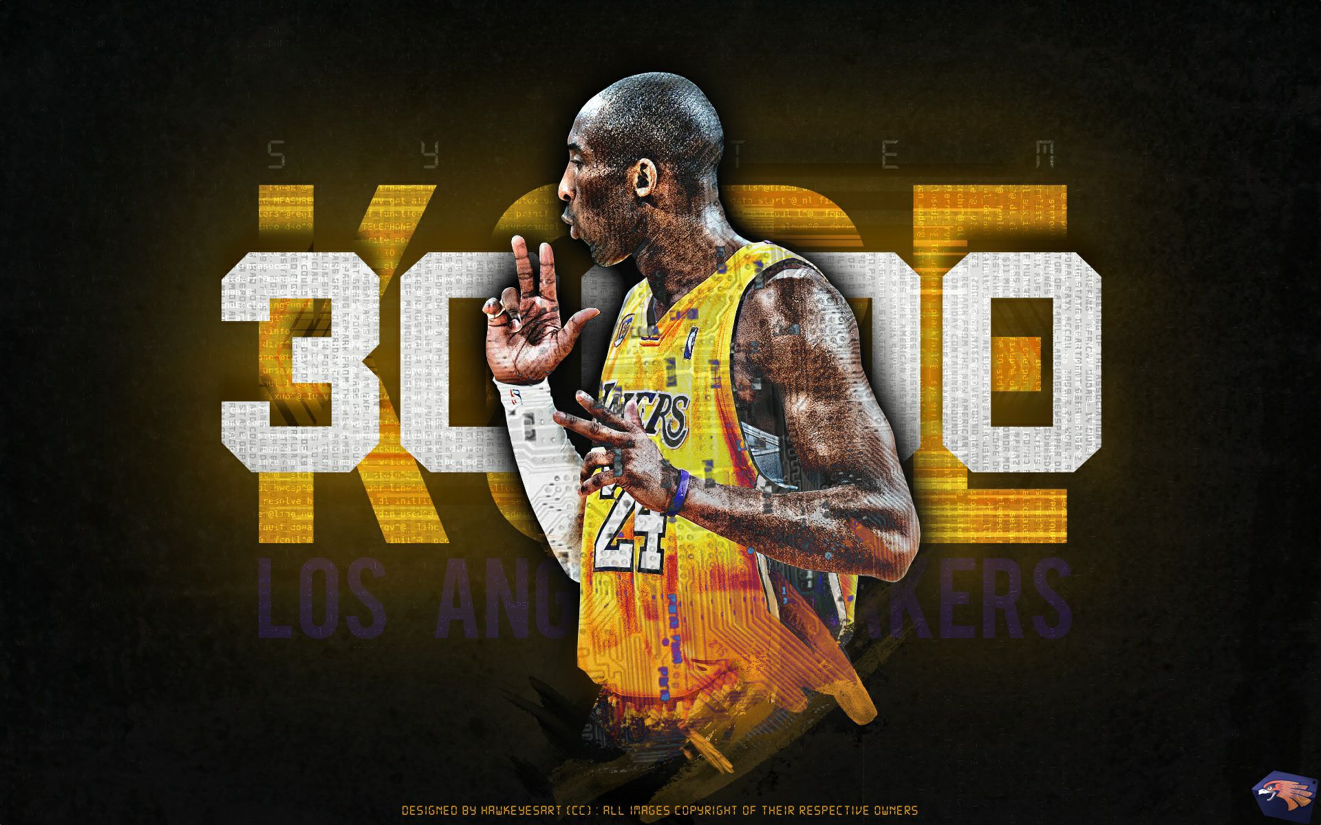 体的表现 体的表现