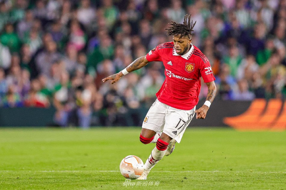 多点开花的 多点开花的